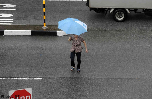 Why do the Elderly Jaywalk? - Falcon Mobility Singapore